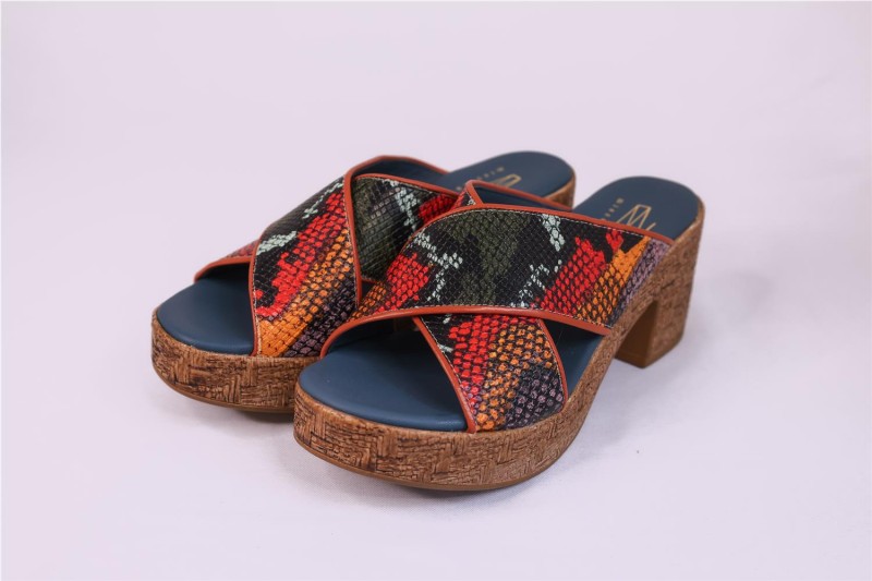 ZAPATOS MISCELANEA MULTICOLOR