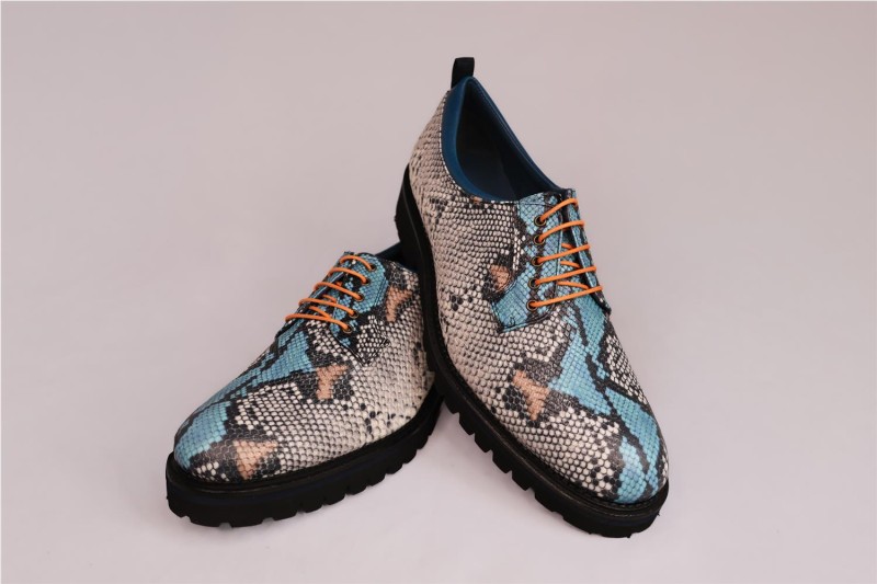 ZAPATOS MISCELANEA  2