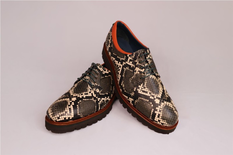 ZAPATOS MISCELANEA 